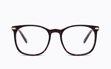 CL4175 OPT 01